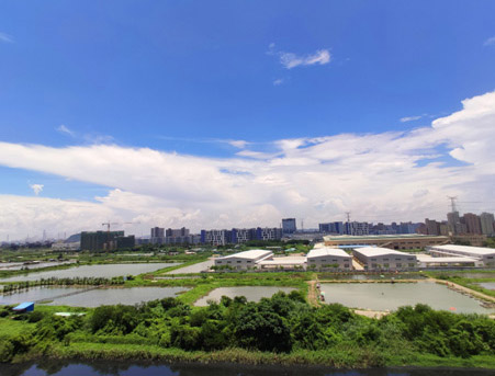 2019华南国际工业自动化展览